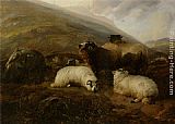 Sheep in the Highlands by Thomas Sidney Cooper